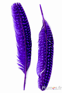Perlhuhn - 16-20 cm - violett
